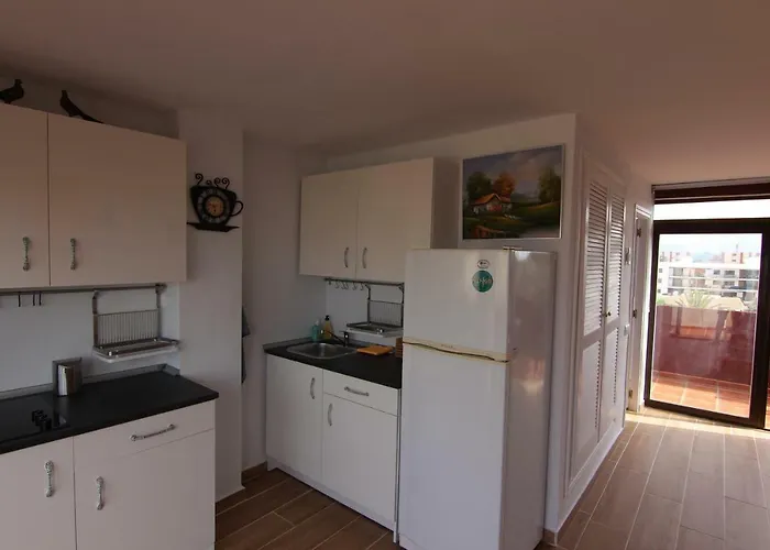 Atico Duplex En 1a Linea De Mar Denia